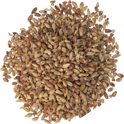 Abbey Malt (Belgian Aromatic) 20L- Chateau Montastique