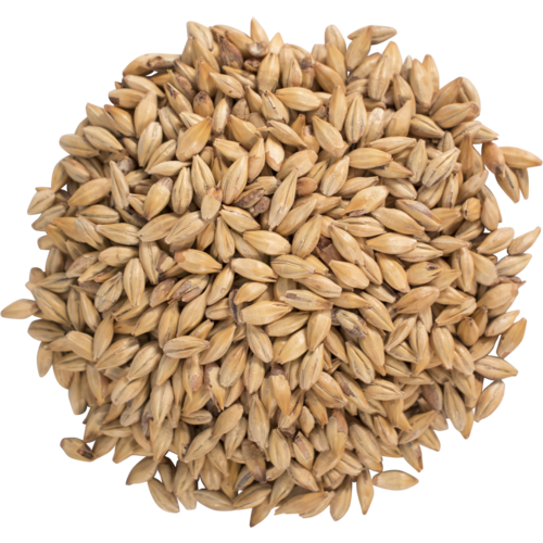 Caramel Malt 10L (Carahell) - the the half pound.