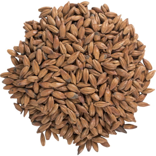 Brown Malt - 85 to 110L - by the half pound.