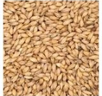 6 Row Malt 2L - Canadian Malting - by the half pound.