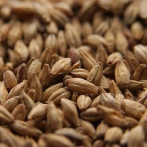 Abbey Malt 30L - Chateau Montastique - by the half pound.