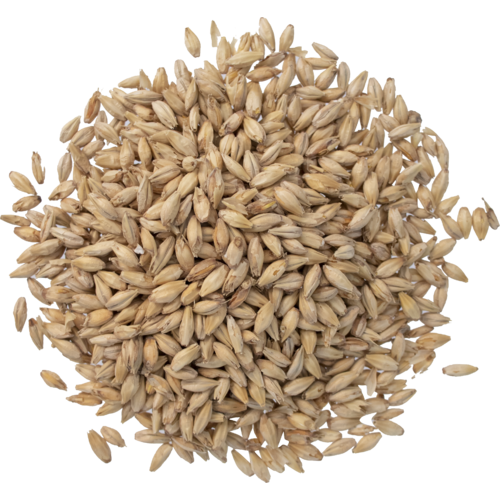 Pale Malt - by the half pound