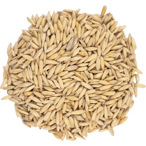 Oat Malt - by the half pound.