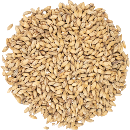 Maris Otter - Pale Ale Crisp Malt (English) 4L - by the half pound.