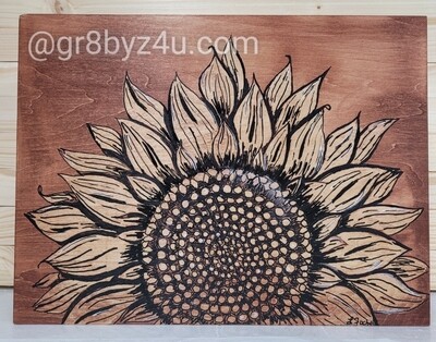 Sunshine on the sunflower