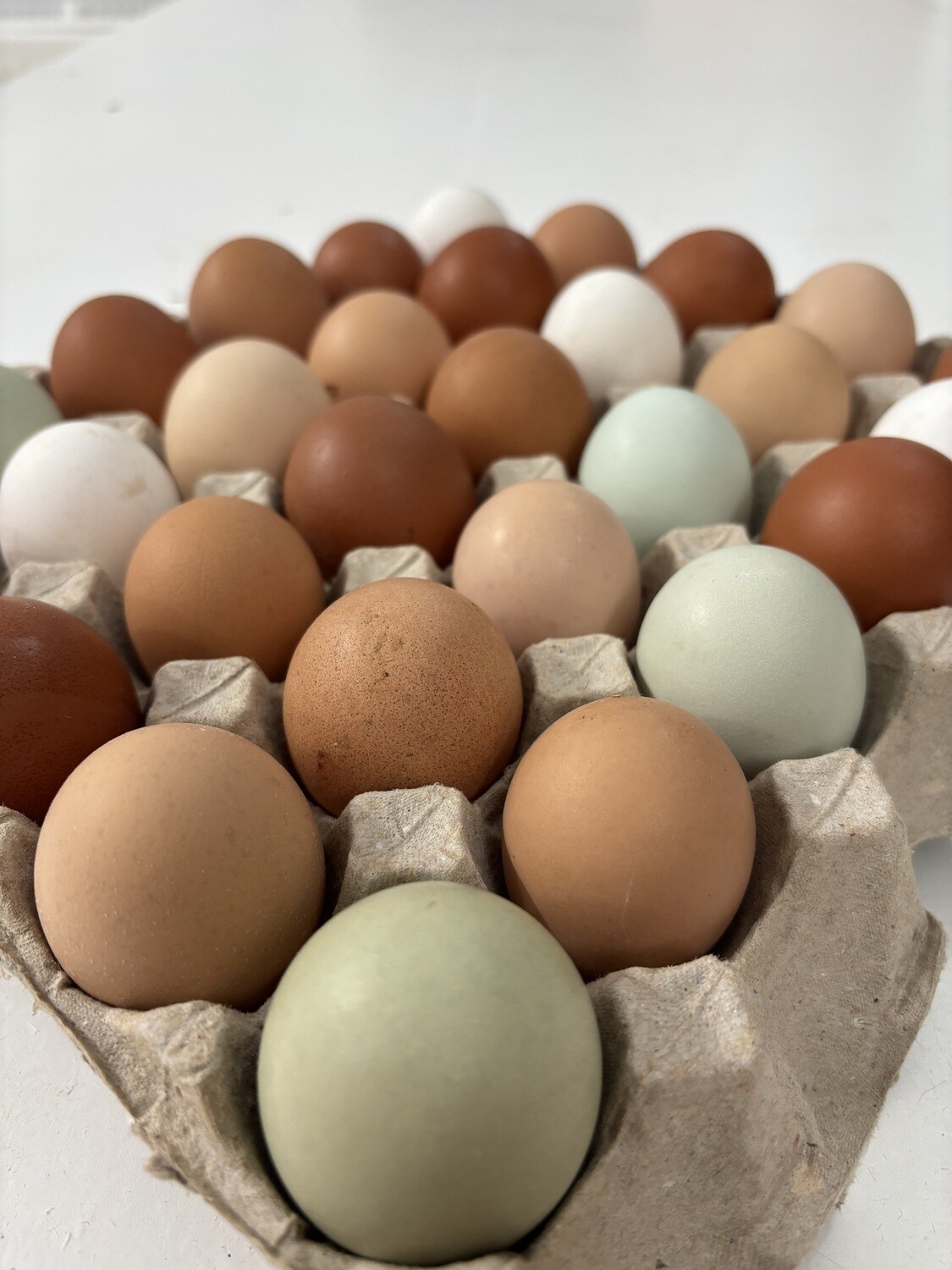 Assorted Hatching Eggs