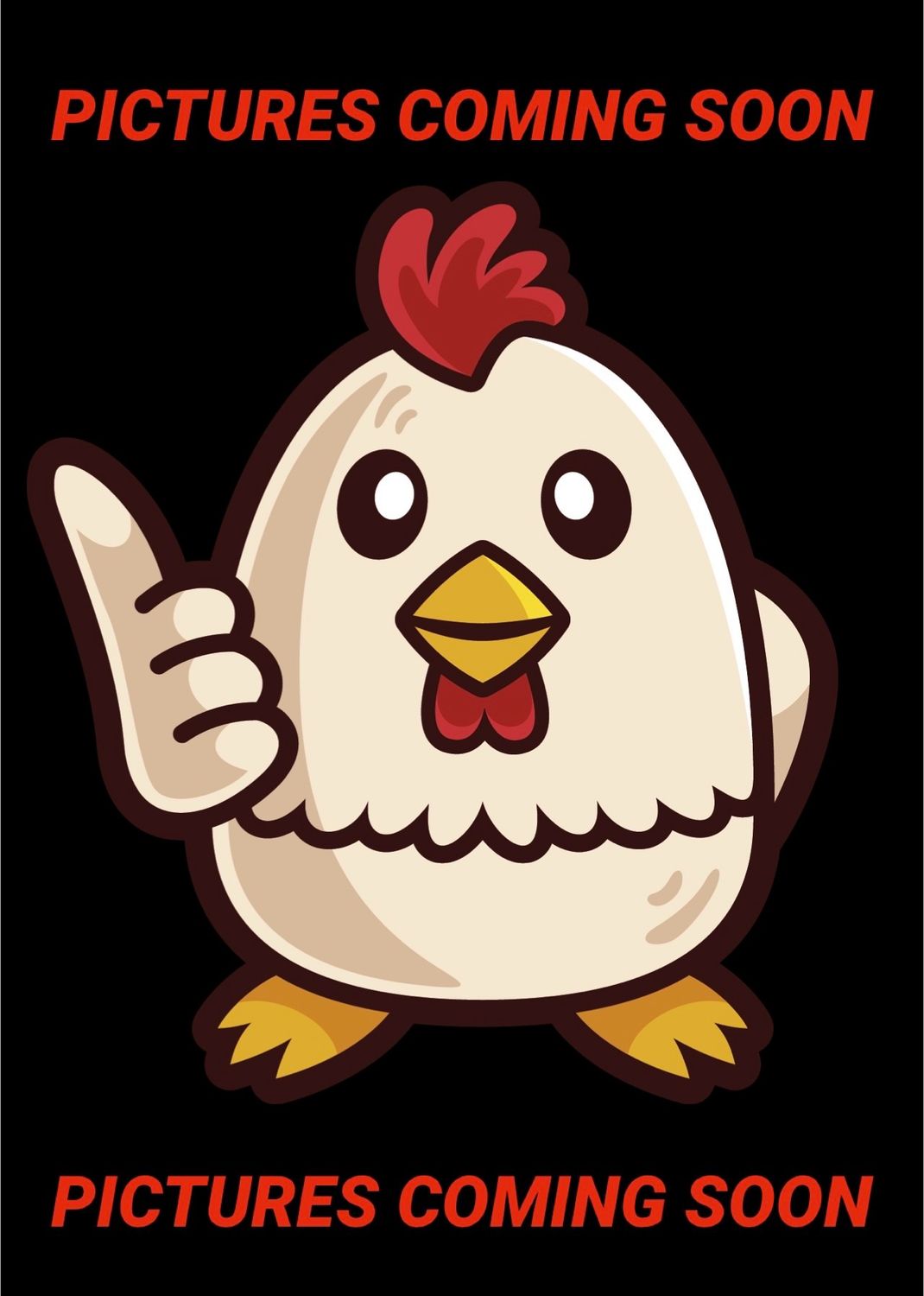 Lavender Orpington Chicks