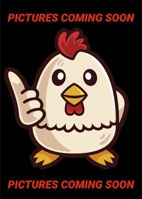 Buff Brahma Chicks