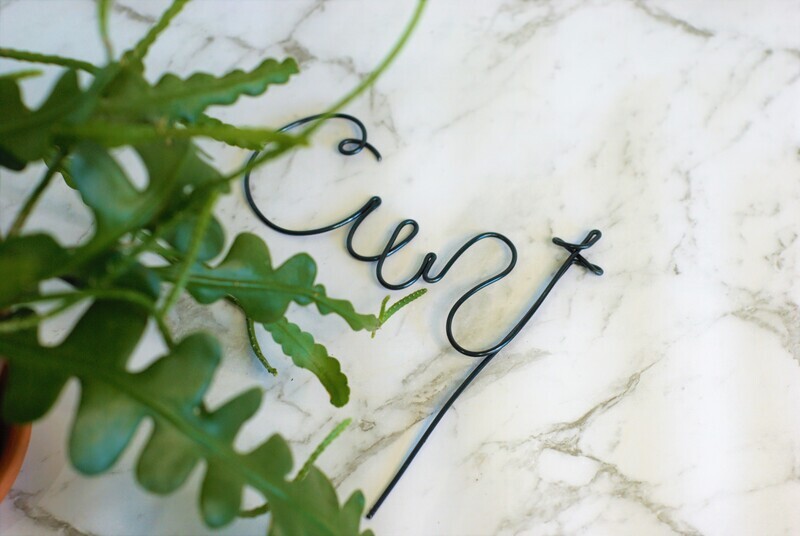 See U Nest Tuesday Plant Stake – A Little Bit Spicy, A Whole Lot of Fun!
