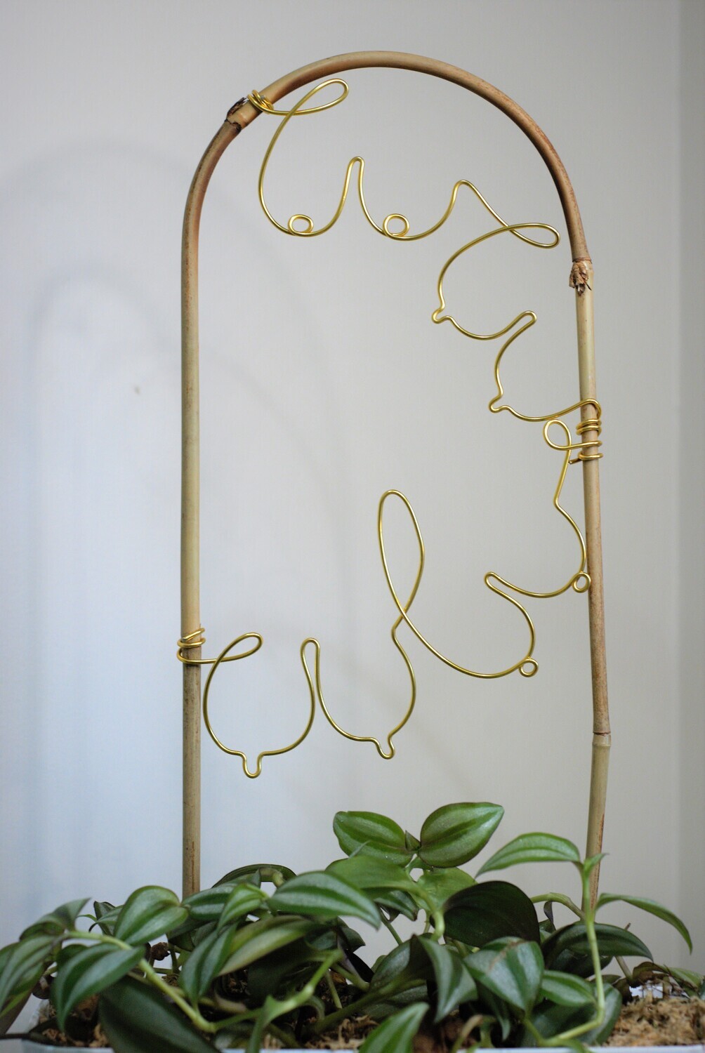 &quot;The Twin Vines&quot; Bamboo U-cane Trellis