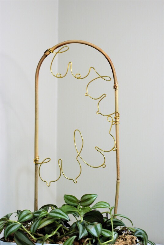 &quot;The Twin Vines&quot; Bamboo U-cane Trellis