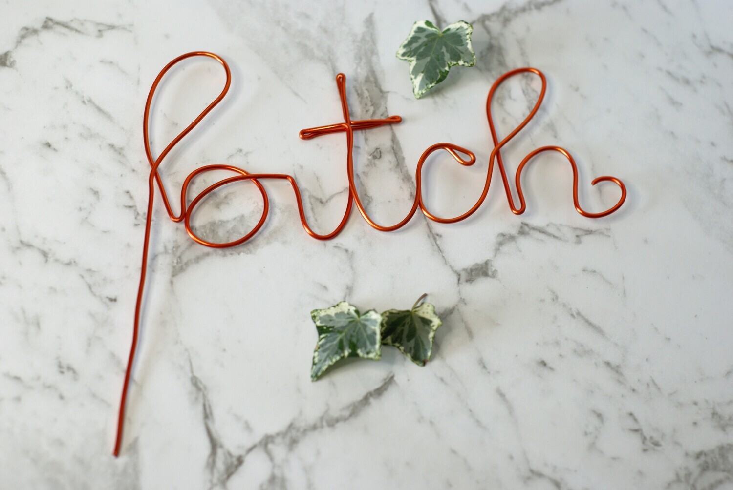 Bitchin’ Bloom Plant Stakes – Where Sass Meets Style!