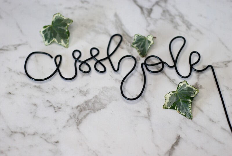 Prick Me, I Dare You Plant Stake – A Bold Statement for Your Greenery!