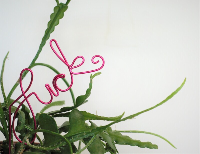 Oh Fork - Plant Stake