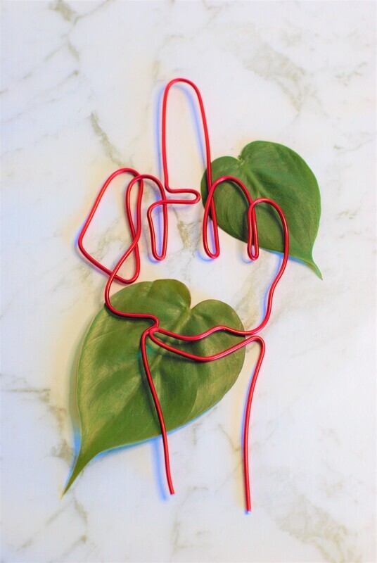 Ficus Off Plant Stake – A Hands-On Way to Say It with Style!