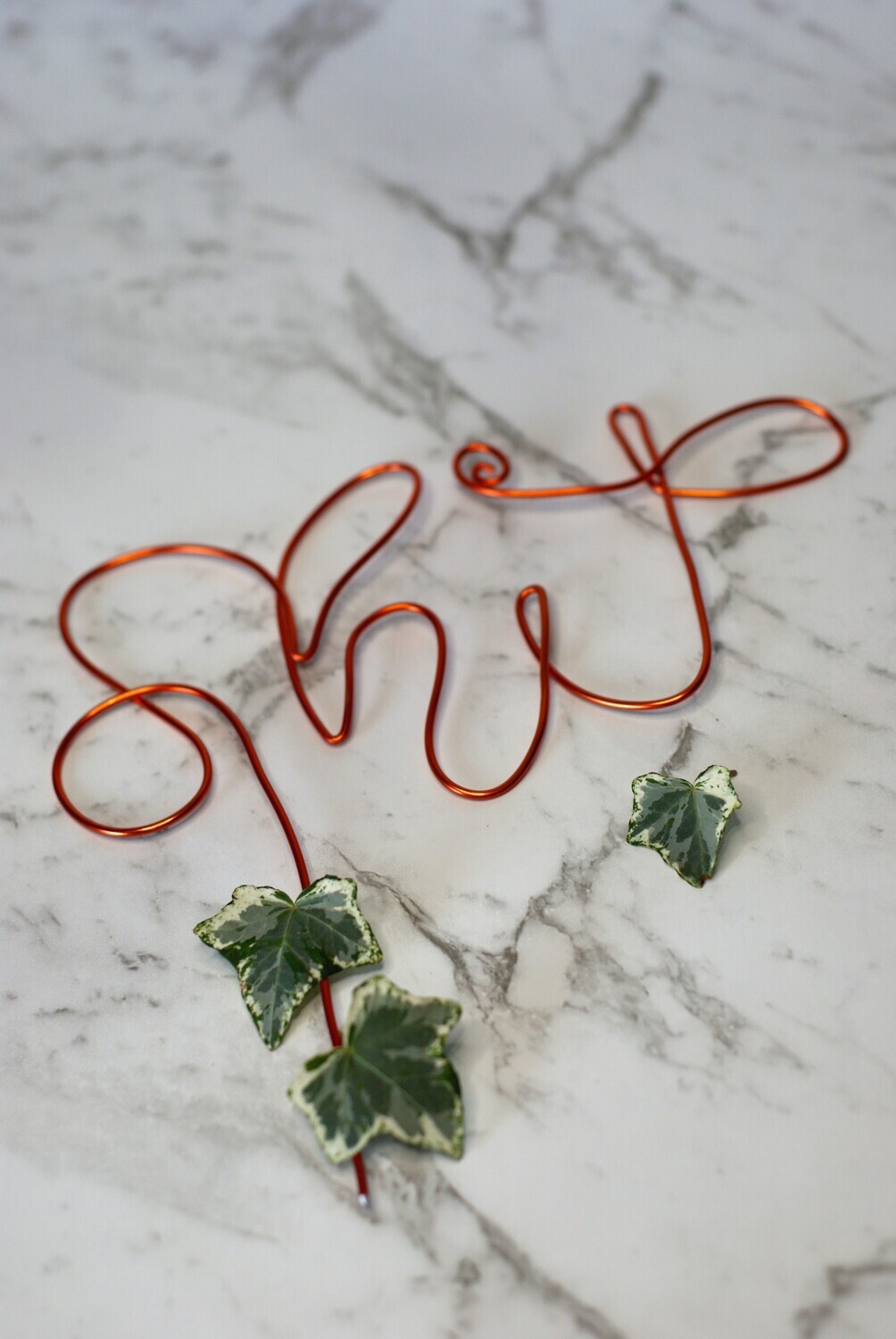Oh Sh*t, That’s Cute! - Plant Stake