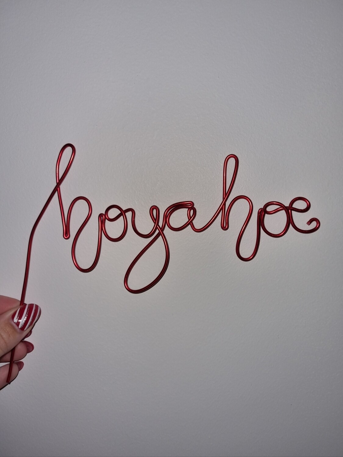 Hoya Hoe Plant Stake – A Sassy Companion for Your Greenery!