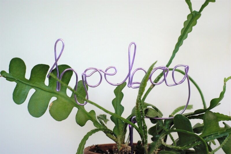 Thirsty Hoe - Plant Stake