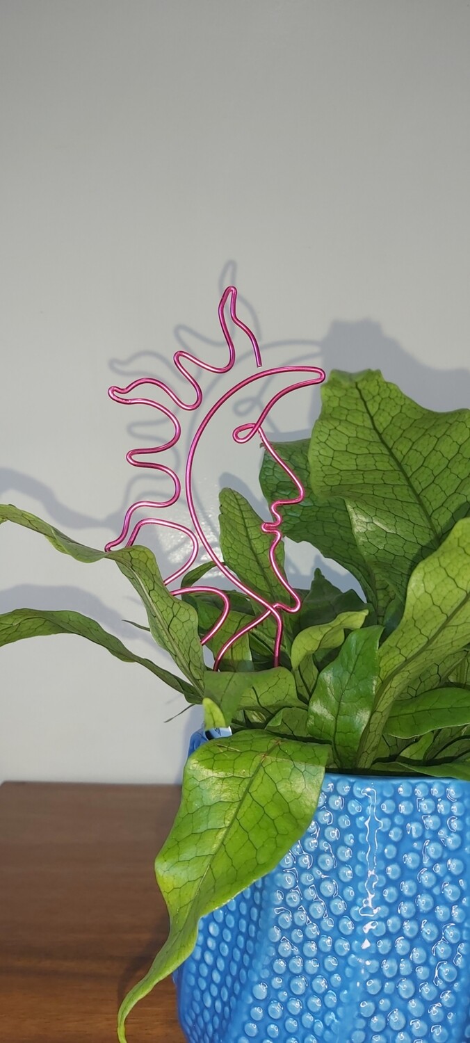 Sun on the Flipside Plant Stake