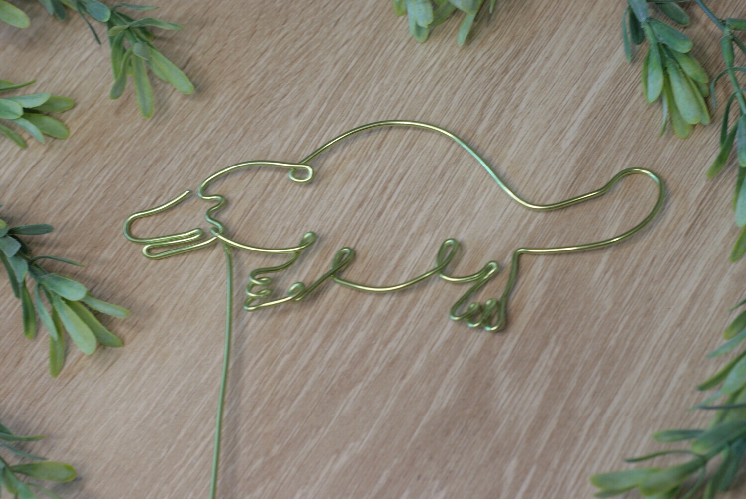 &quot;Platy-planty Love&quot; Wire Stake