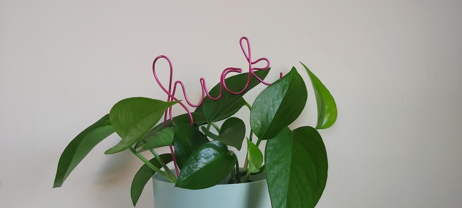 Oh Fork - Plant Stake
