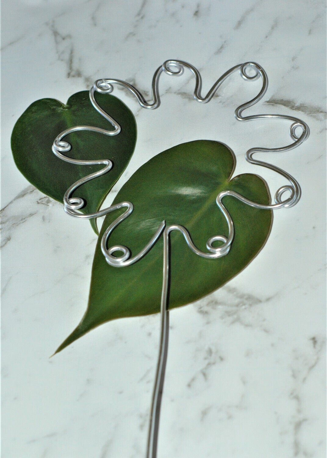 Nippled in the Bud – Boobies Flower Plant Stake