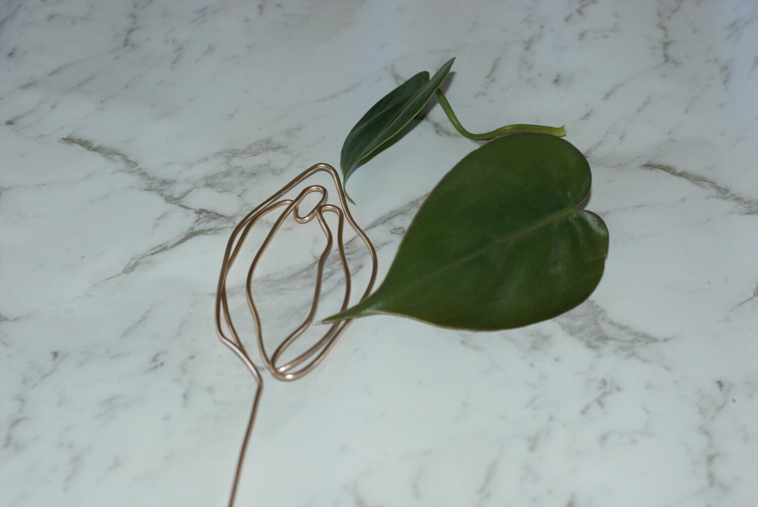 Floral Flaps Plant Stake – Give Your Plants a Petal-Powered Perch!