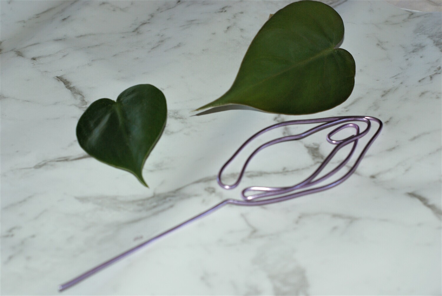 Floral Flaps Plant Stake – Give Your Plants a Petal-Powered Perch!