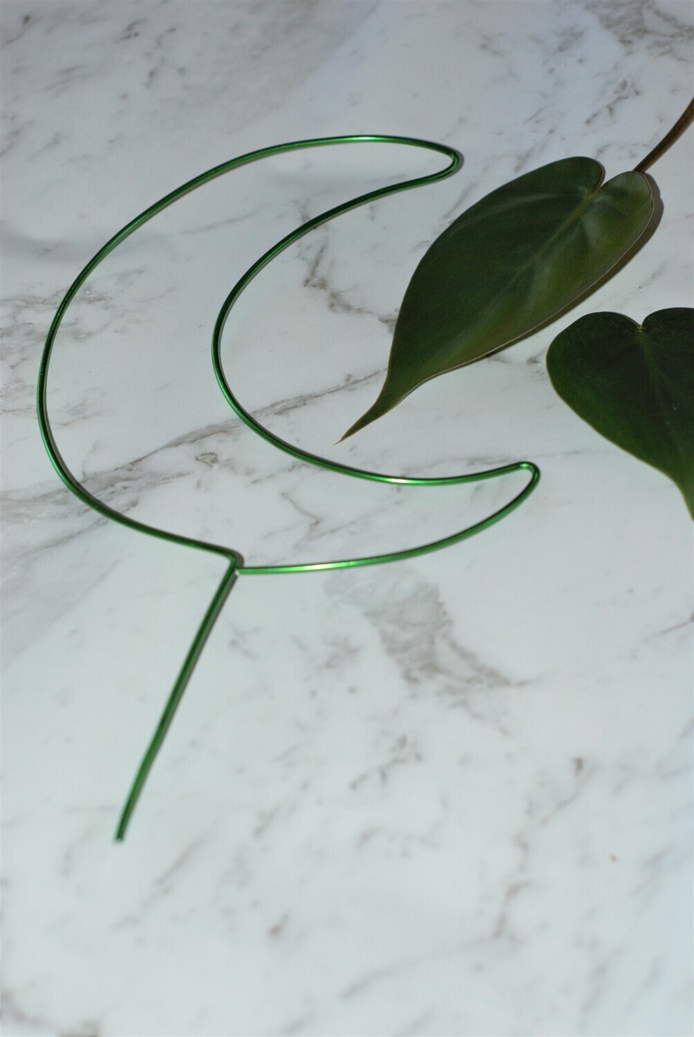 Mystic Moonbeam – Crescent Moon Plant Stake
