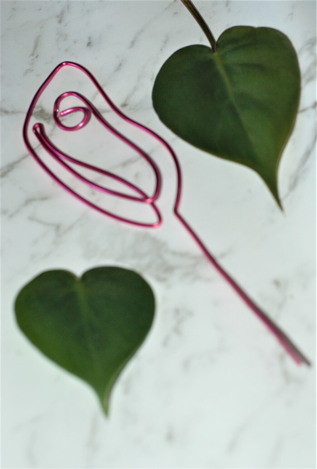 Floral Flaps Plant Stake – Give Your Plants a Petal-Powered Perch!