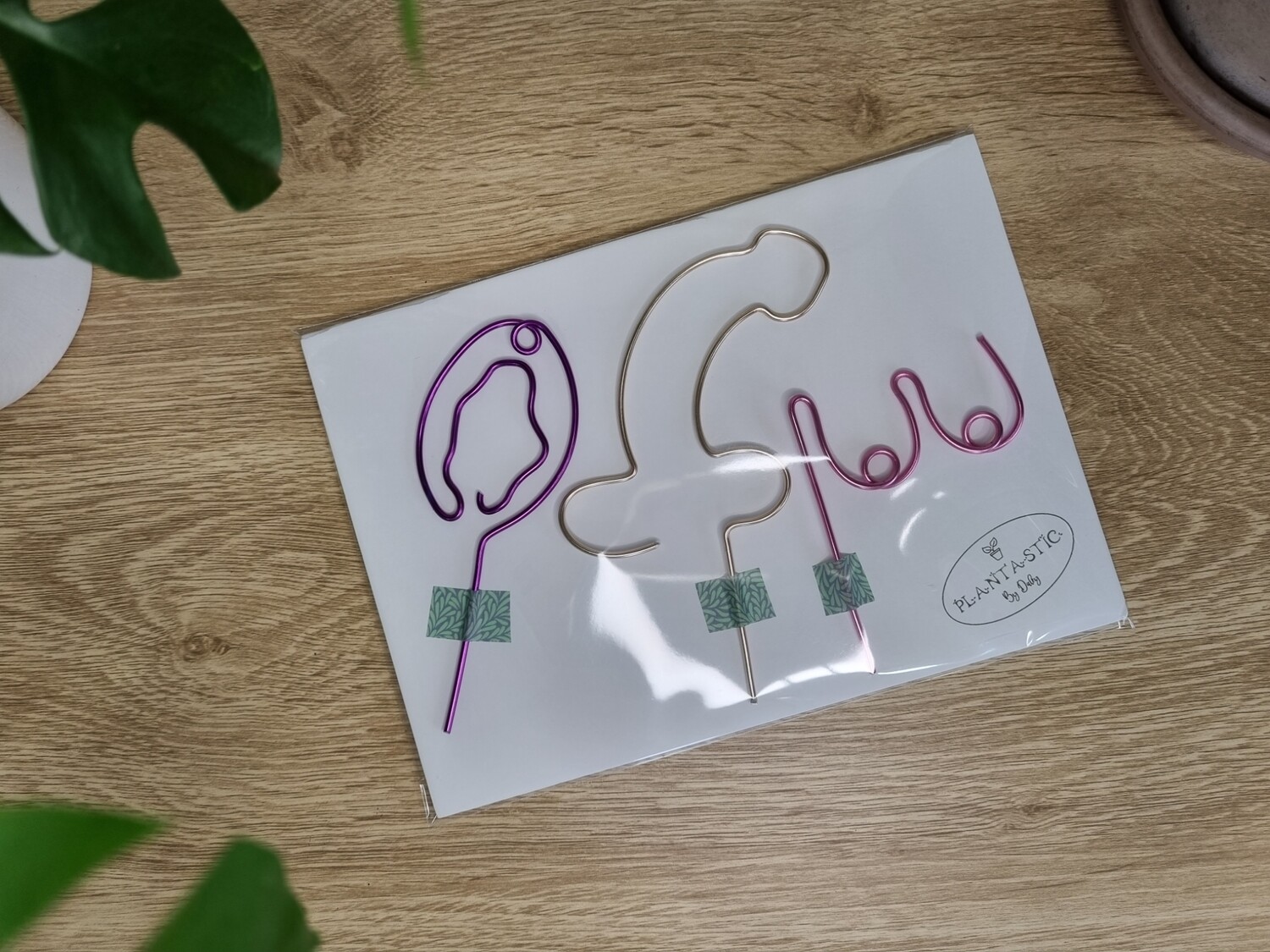 Bloomin&#39; Rude – Naughty Bits Mini Plant Stake Pack