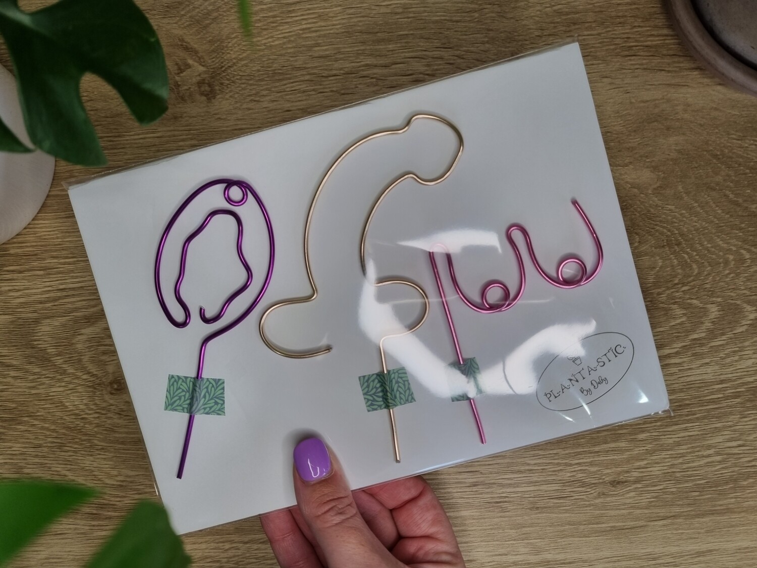 Bloomin&#39; Rude – Naughty Bits Mini Plant Stake Pack