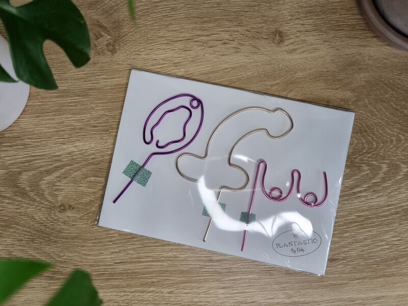 Bloomin&#39; Rude – Naughty Bits Mini Plant Stake Pack