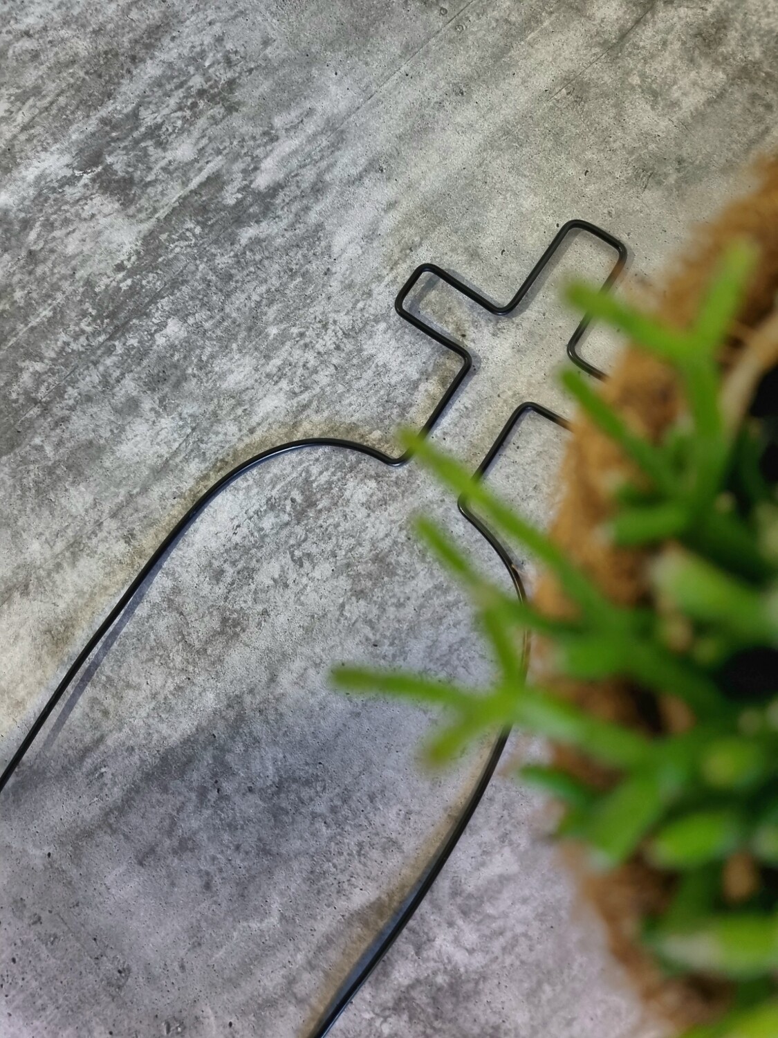 Grave &amp; Vine Wire Plant Stake