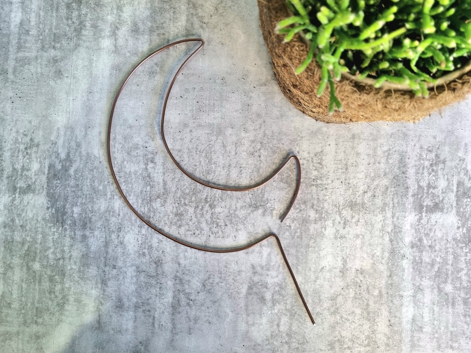 Mystic Moonbeam – Crescent Moon Plant Stake