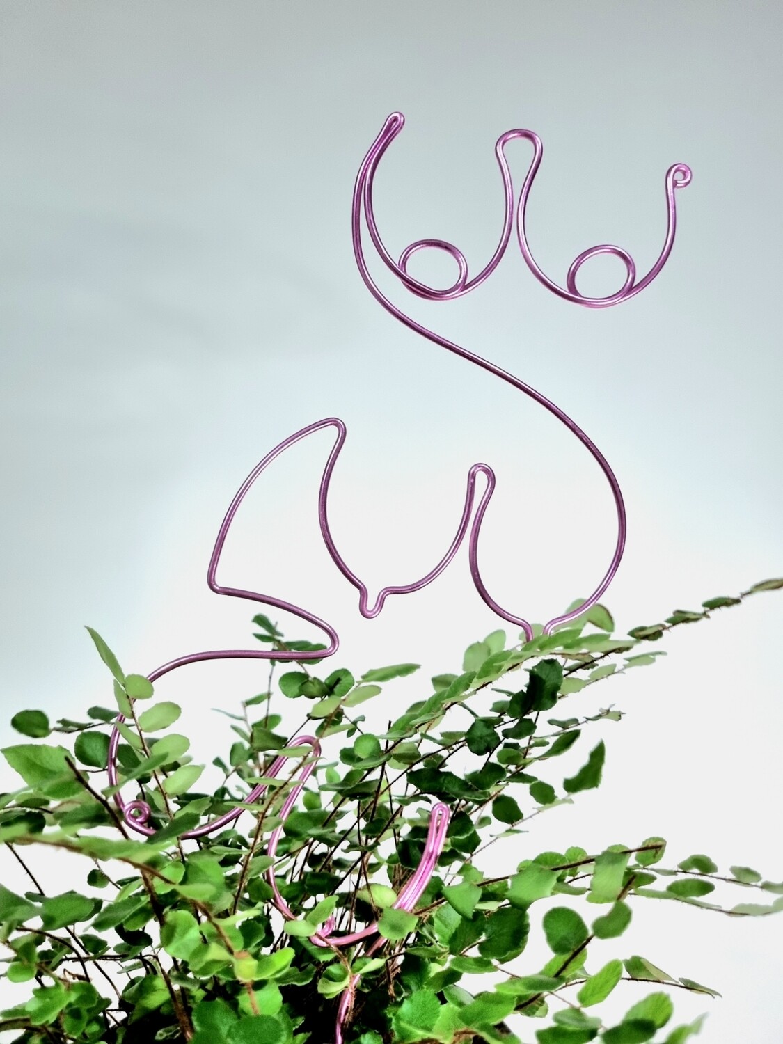 Tit-Leaf Tuesday – Boobies Plant Stake