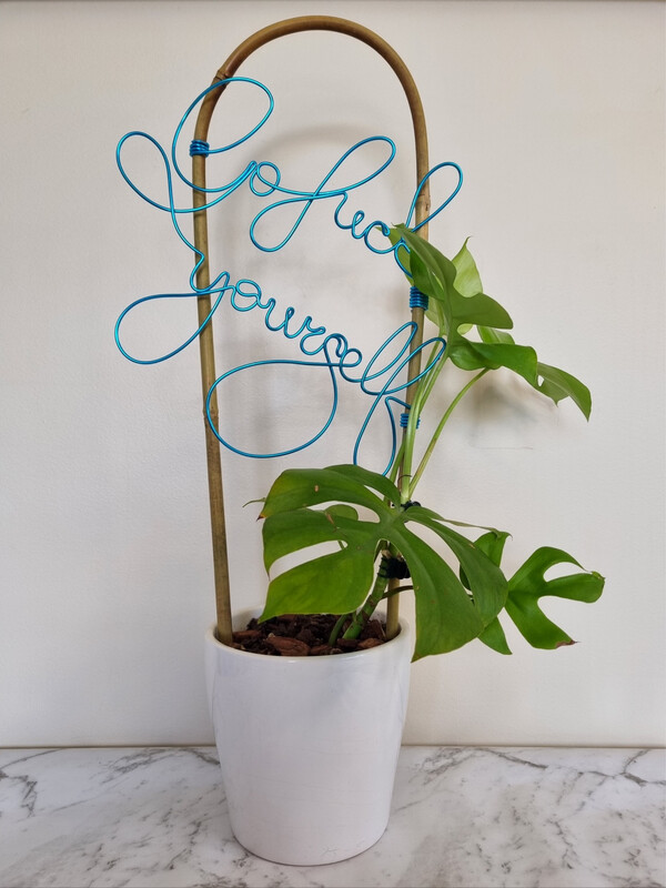 &quot;Sassy AF&quot; Bamboo U-cane Trellis