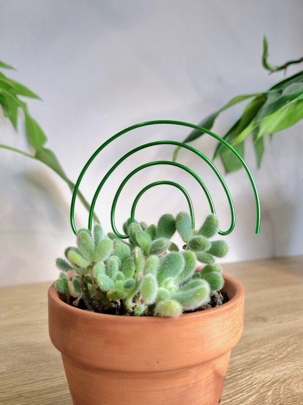Over the Rainbow Plant Stake