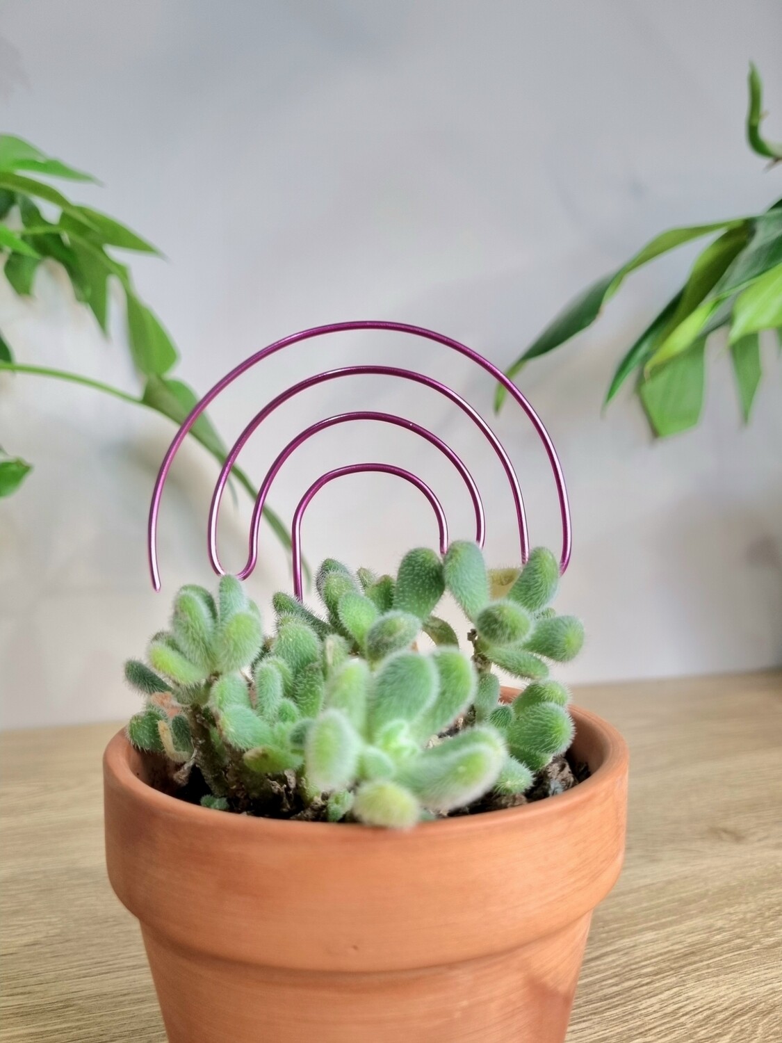 Over the Rainbow Plant Stake