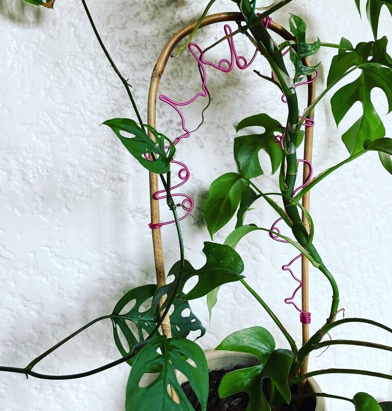All Shapes And Sizes- BOOBIES plant trellises &amp; stakes