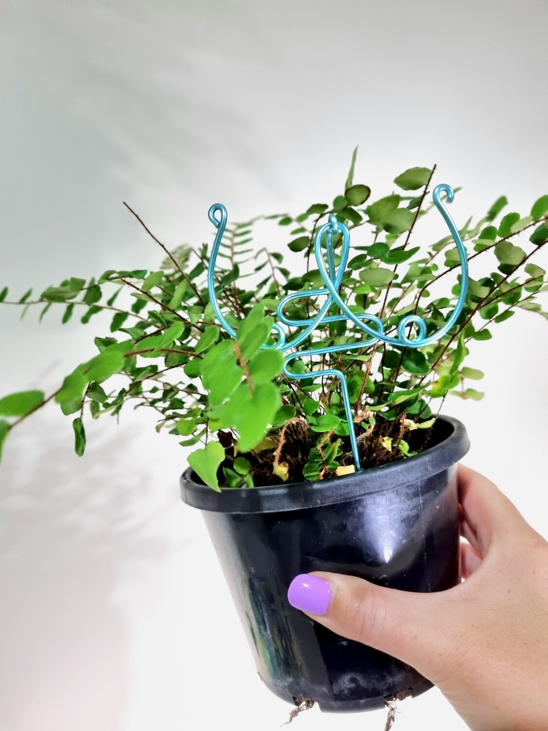 Chestnut Sprouts - Bouncing Plant Stake