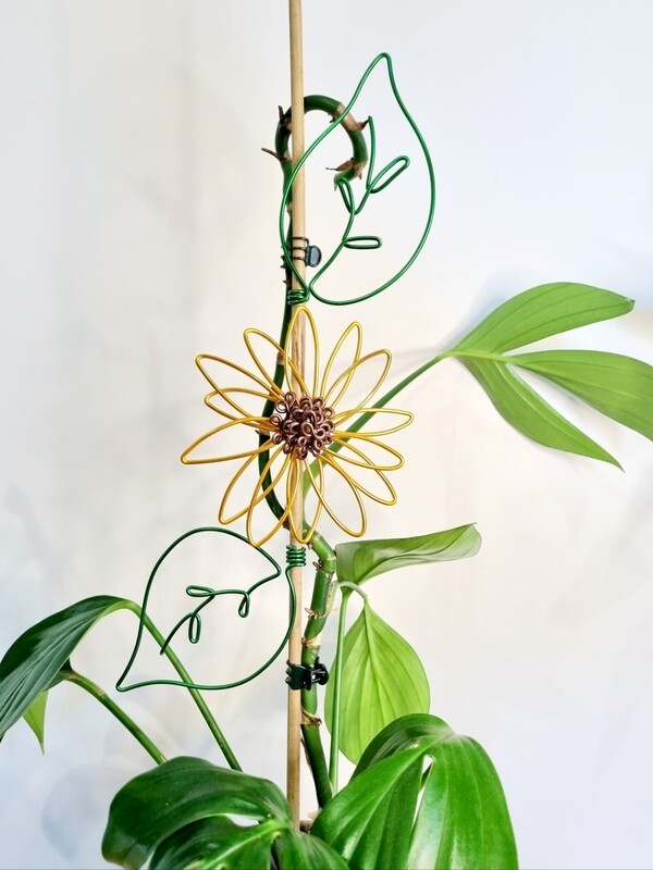 Sunflower Plant stake/u-cane trellis