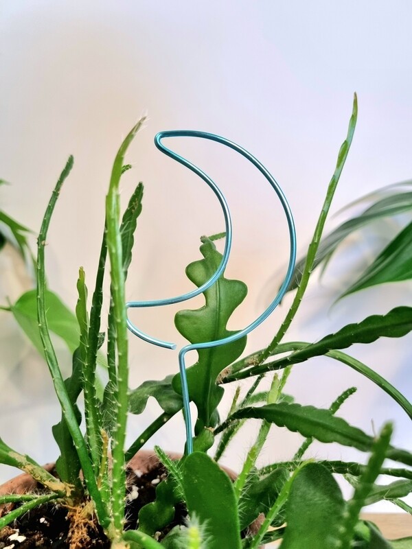 Mystic Moonbeam – Crescent Moon Plant Stake