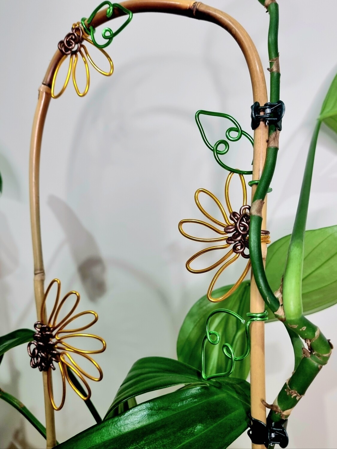 Sunflower Plant stake/u-cane trellis