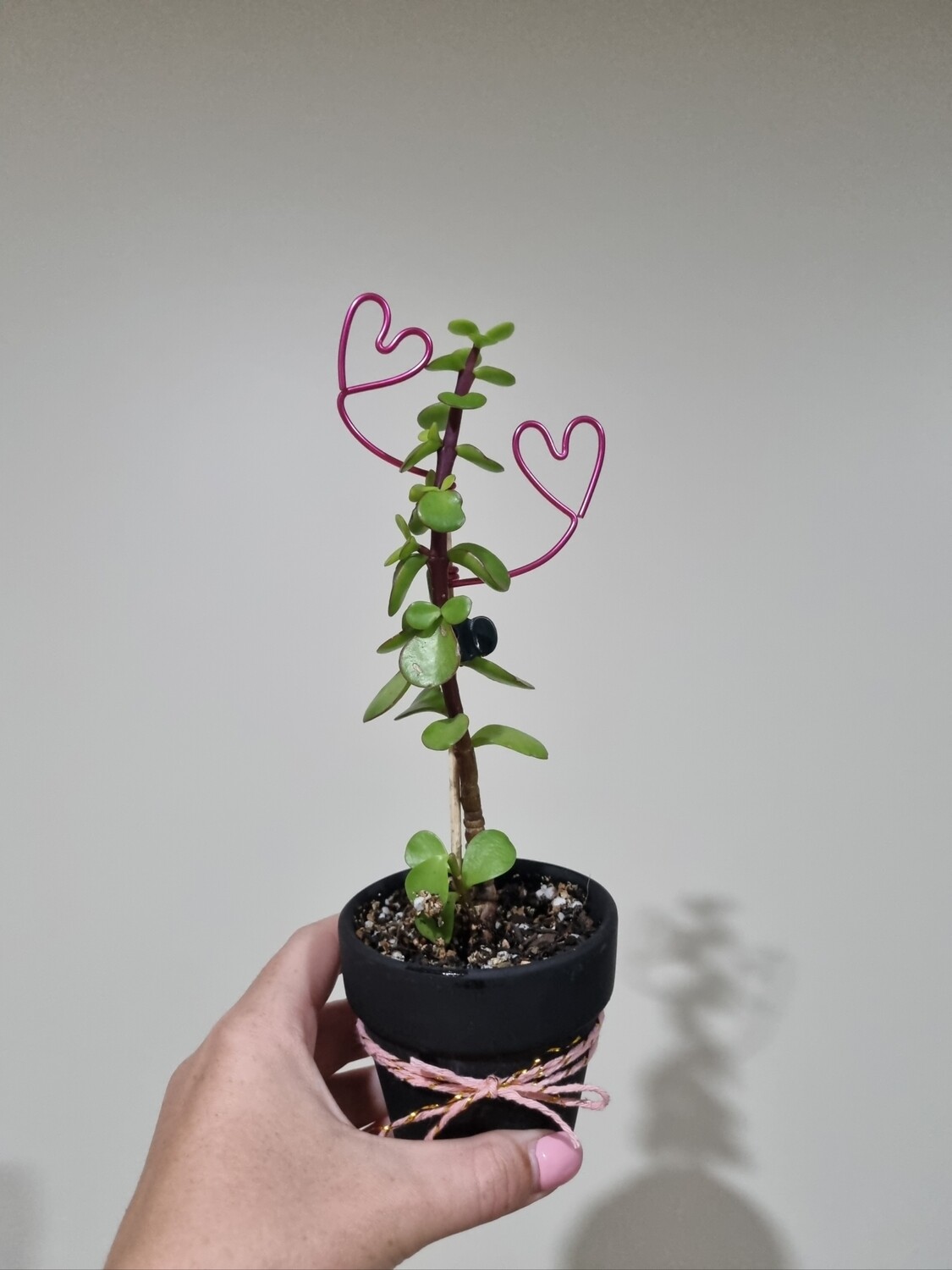 Custom order