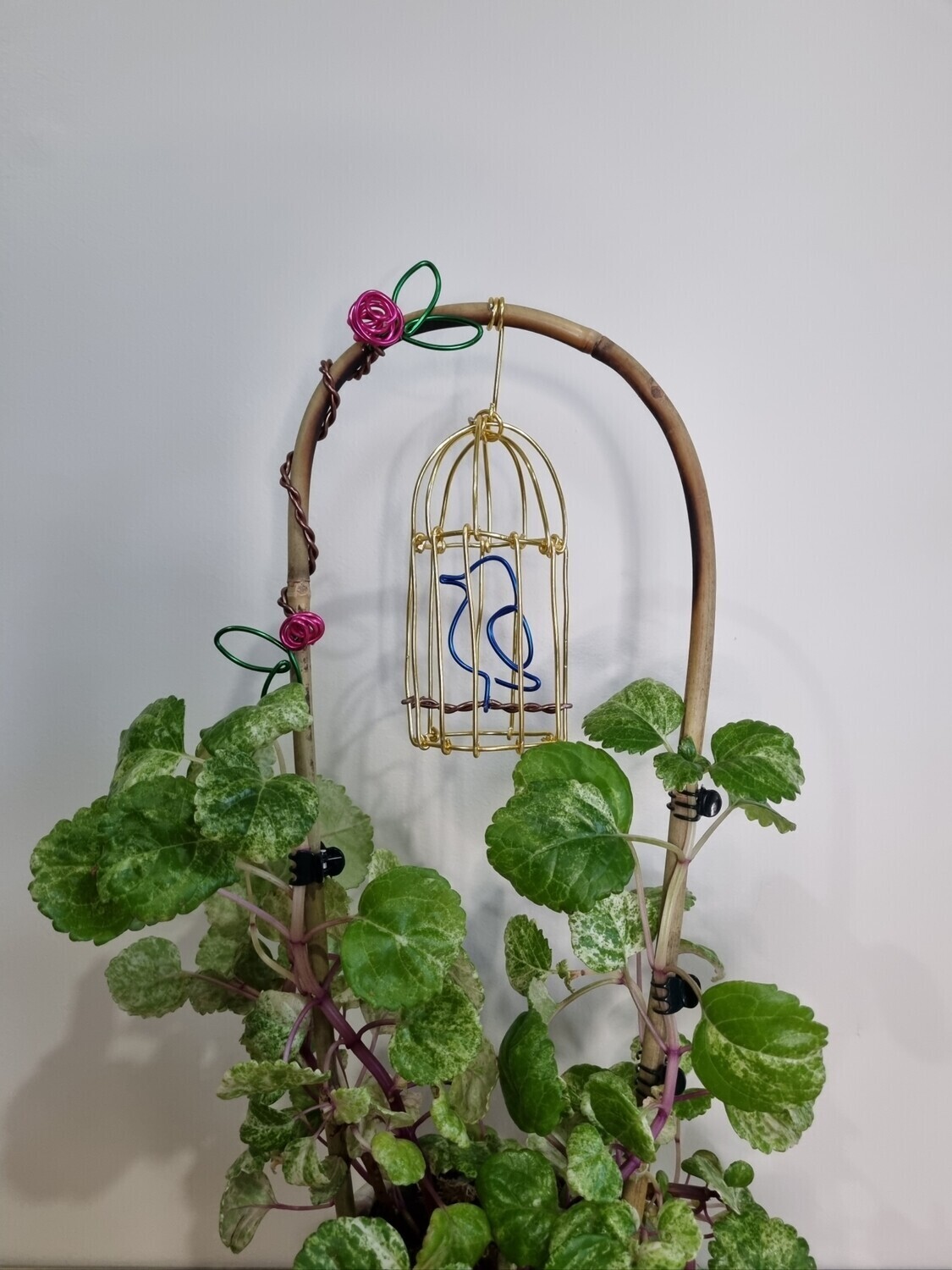 Custom order