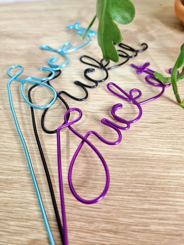 F#ck This Pot Plant Stake – A Bold Statement for Your Greenery!