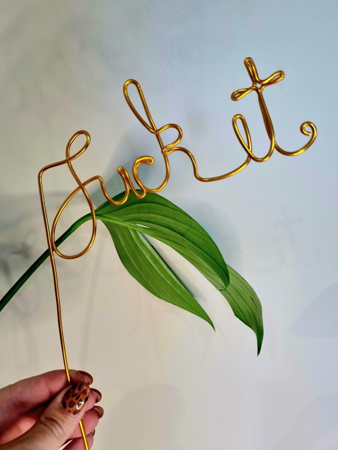 F#ck This Pot Plant Stake – A Bold Statement for Your Greenery!