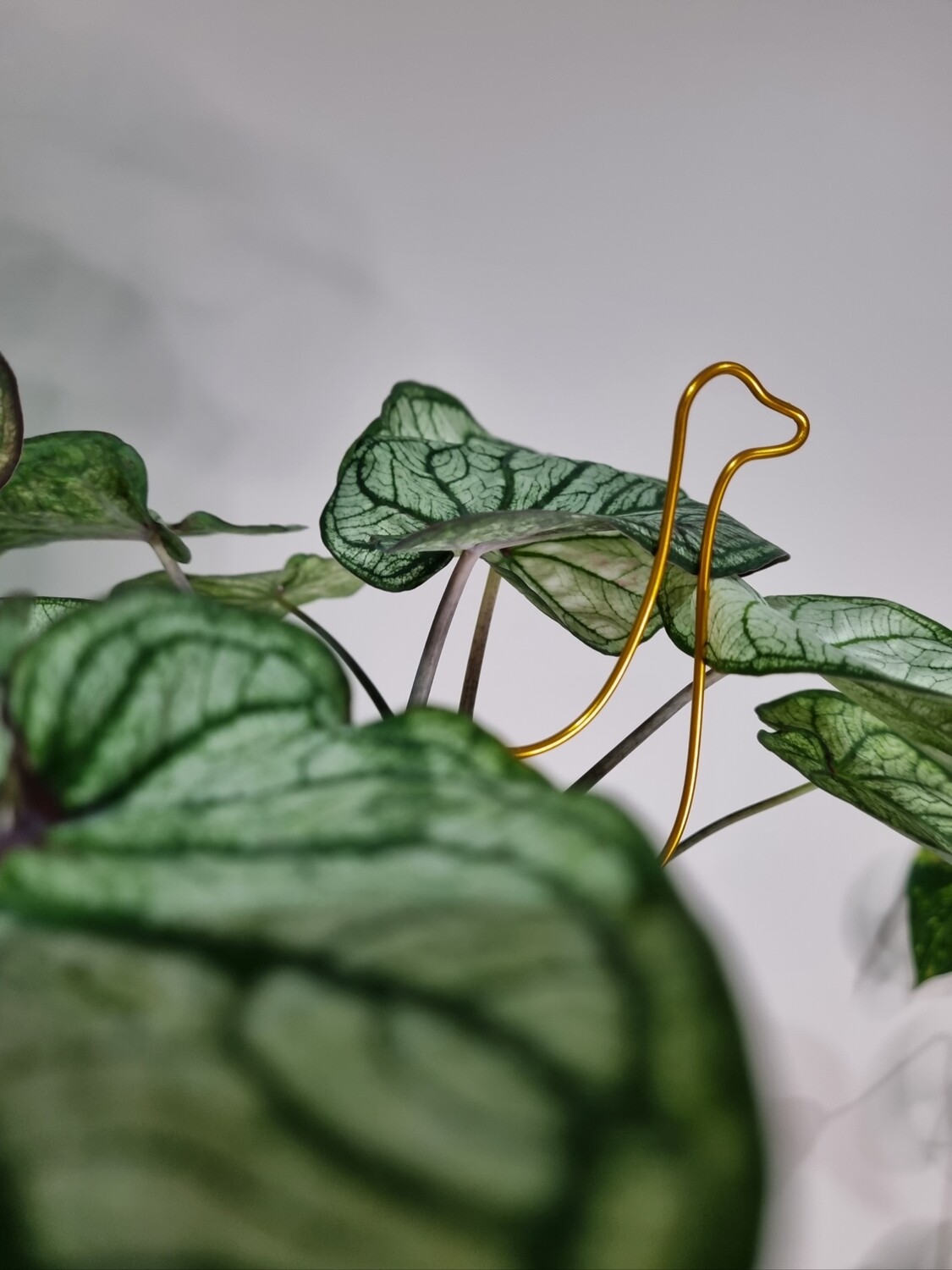 Brontoplant – Brontosaurus Plant Stake