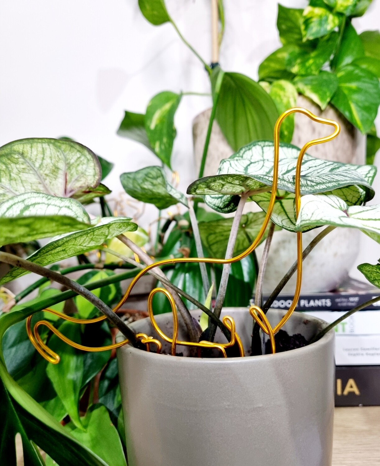 Brontoplant – Brontosaurus Plant Stake